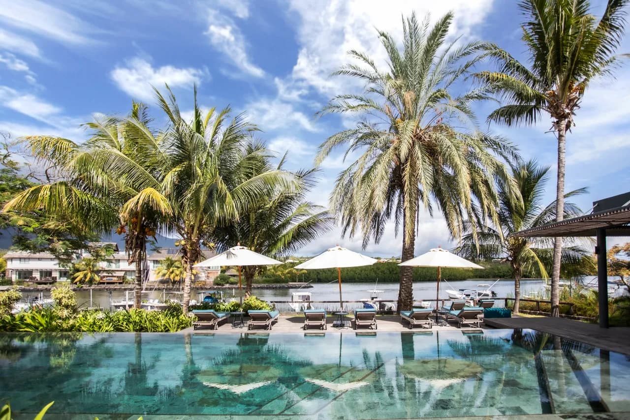 Prima infinity pool under the palms